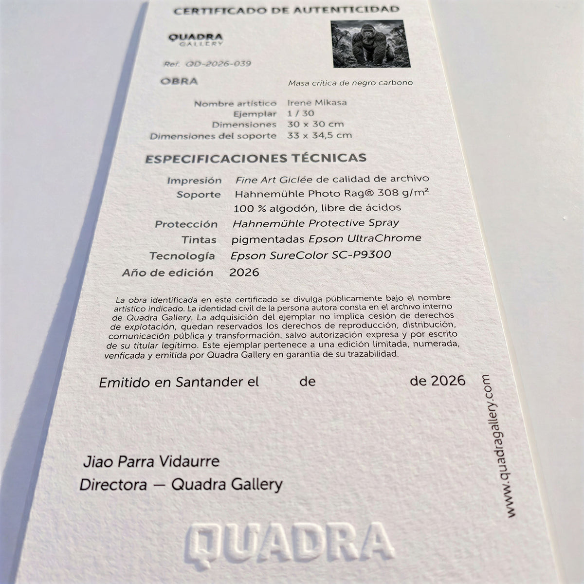 Certificado de autenticidad de la obra Masa crítica de negro carbono, de Irene Mikasa.