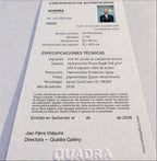 Certificado de autenticidad de la obra Incisión de plata sobre terciopelo verde con destello de control, de Jon Dorronsoro.