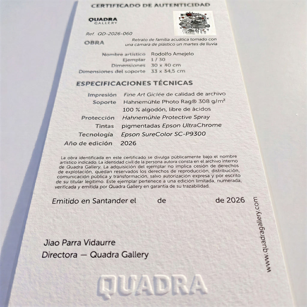 Certificado de autenticidad de la obra Retrato de familia acuática tomado con una cámara de plástico un martes de lluvia, de Rodolfo Amejelo.