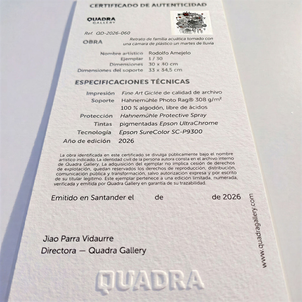 Certificado de autenticidad de la obra Retrato de familia acuática tomado con una cámara de plástico un martes de lluvia, de Rodolfo Amejelo.